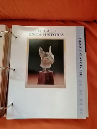 Coleccionable Gatos Planeta DeAgostini