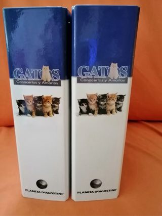 Coleccionable Gatos Planeta DeAgostini