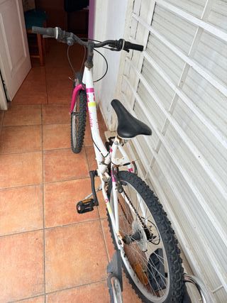 Bicicleta Denbike 24 Niña