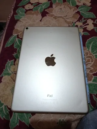 Apple iPad Plata