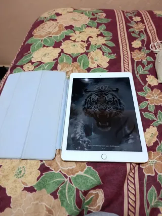 Apple iPad Plata