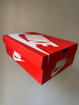 Nike Air Max Plus TN Rebellious Fireberry [42.5]