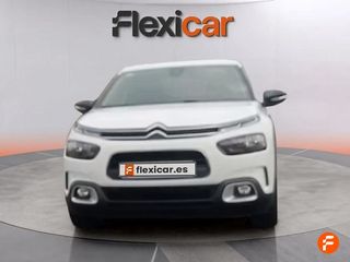 Citroën C4 Cactus BlueHDi 100 S&S Shine