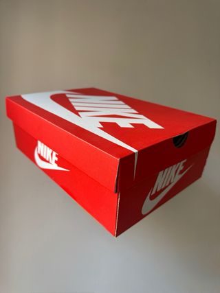 Nike Air Max Plus TN Rebellious Air Fireberry [47]