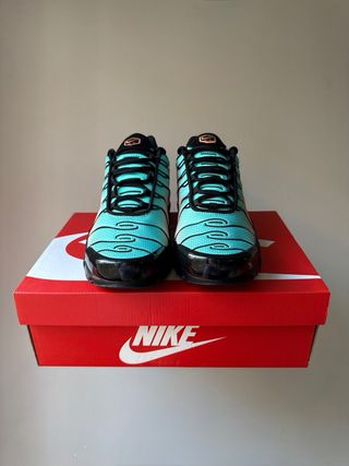 Nike Air Max Plus TN South Beach [46]