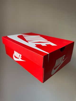 Nike Air Max DN Light Bone Taupe