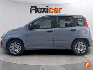 Fiat Panda Panda Hybrid 1.0 Gse 51kw (70CV)