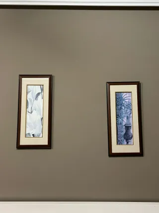 Juego de 2 cuadros decorativos