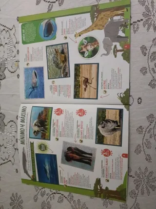 Álbum Cromos Animal Los Records Panini