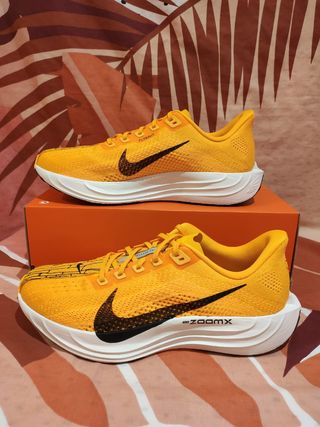 T45 Zapatillas Nike Pegasus Plus Lv8