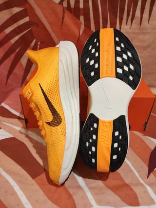 T45 Zapatillas Nike Pegasus Plus Lv8