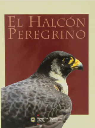 El halcón peregrino