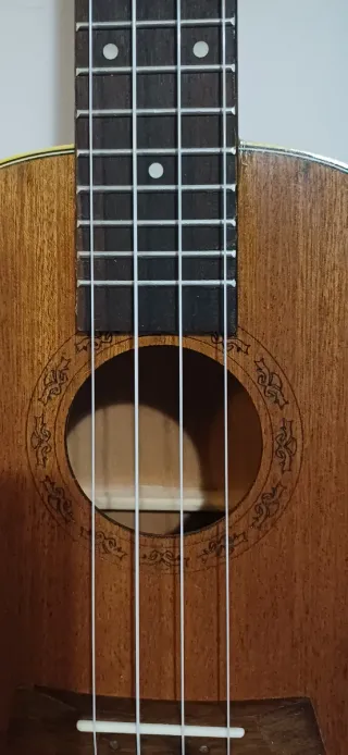 Ukelele nuevo