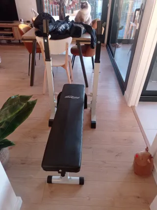 Banco de pesas multifuncional, para musculación