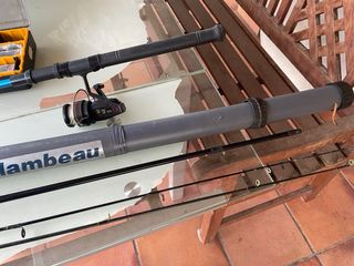 Juego de cañas de pescar