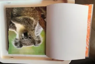 ANIMALI: Grande enciclopedia per ragazzi