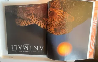 ANIMALI: Grande enciclopedia per ragazzi