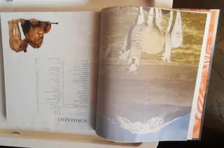 ANIMALI: Grande enciclopedia per ragazzi