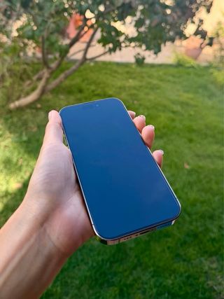 iPhone 14 Pro Oro