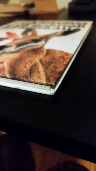 Gli strani animali d'Australia