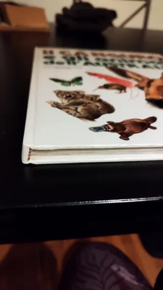 Gli strani animali d'Australia