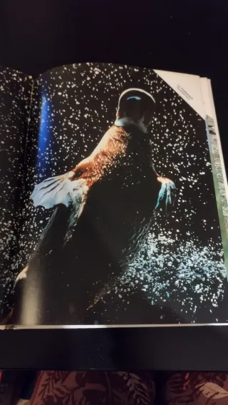 Gli strani animali d'Australia