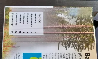 Super dinosauri giganti