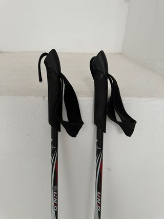 Bastones de esquí de montaña