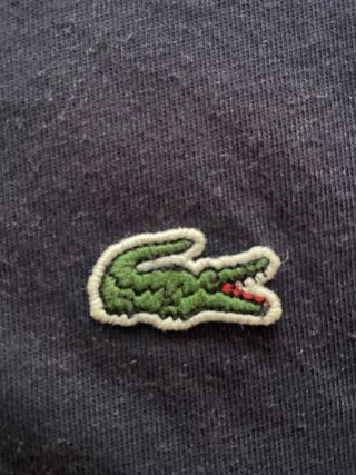 Camiseta Lacoste Azul