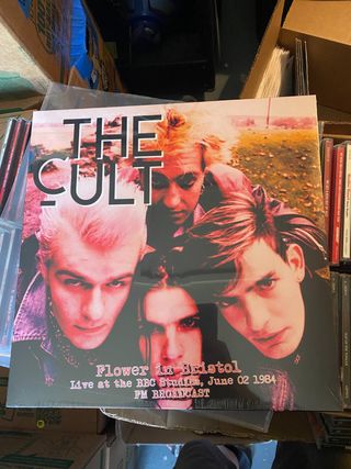 The Cult - Flower in Bristol Vinilo