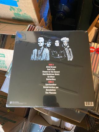 The Cult - Flower in Bristol Vinilo