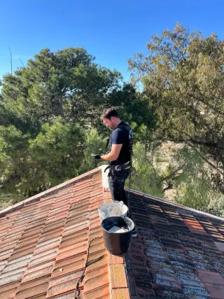 Construcciones y tejados