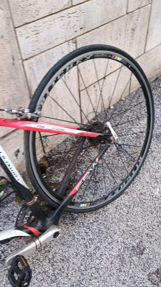 Bici Carbonio Corsa