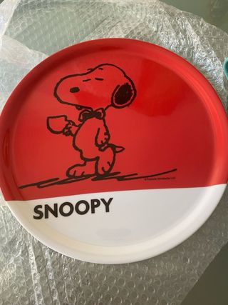 Vajilla Excelsa Snoopy Roja y Turquesa