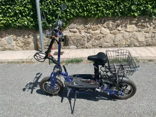 Patinete Eléctrico Raycool Country 1800W