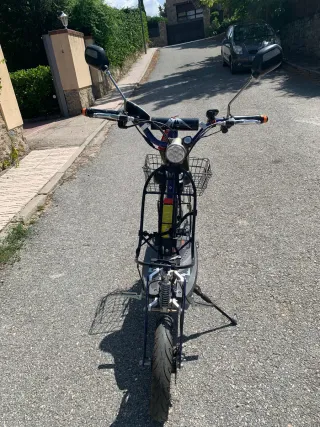 Patinete Eléctrico Raycool Country 1800W