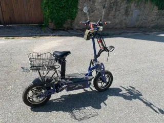 Patinete Eléctrico Raycool Country 1800W