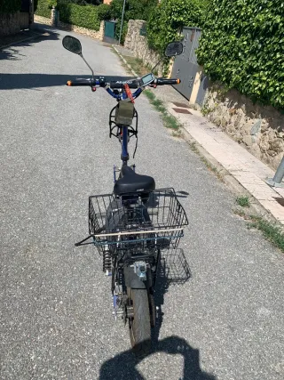 Patinete Eléctrico Raycool Country 1800W