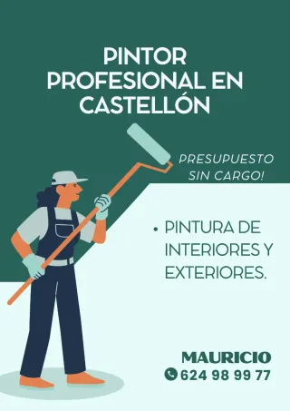 Pintor Profesional Castellón