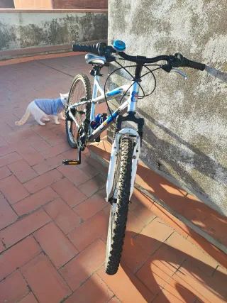 Bicicleta de montaña
