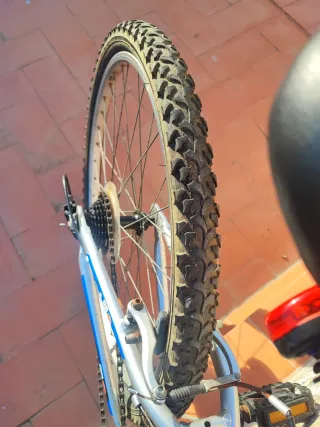 Bicicleta de montaña