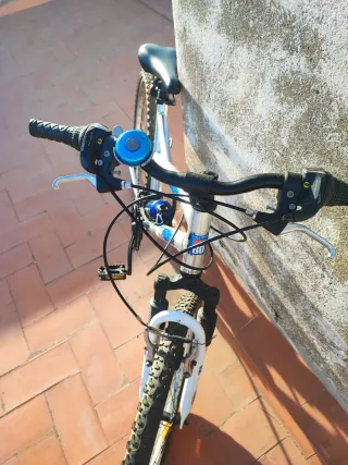 Bicicleta de montaña