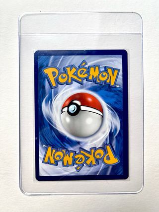 Fidough Carta Pokémon Español 213/198