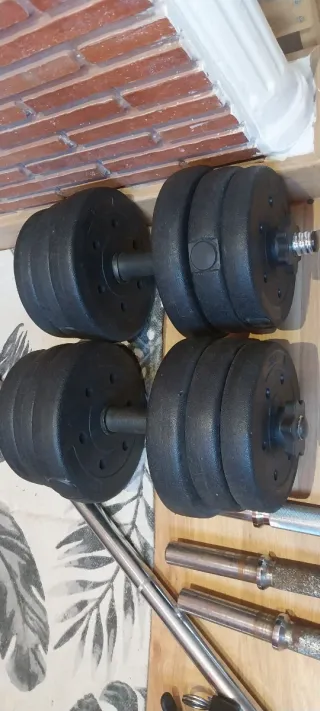 Lote Mancuernas y Barra Dominadas