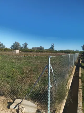 Parcela rústica.en Carcaixent.5 hanegadas. 4.200mt