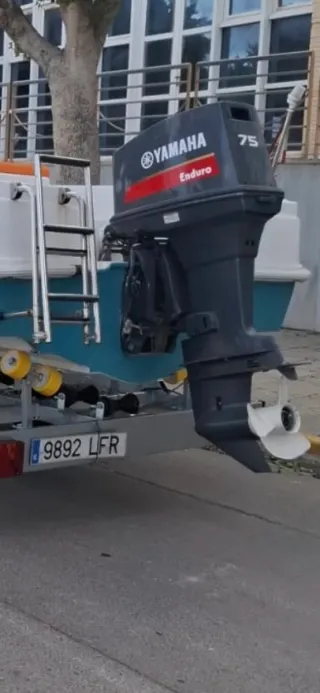Motor fueraborda Yamaha 85 Enduro