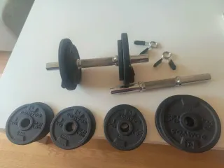 Mancuernas Domyos con discos y cierres