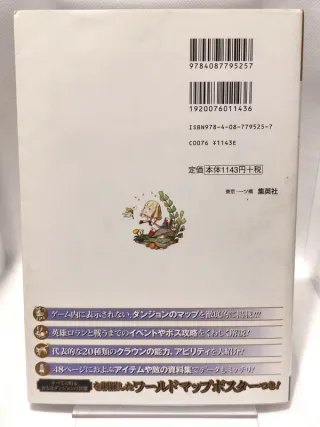 Final Fantasy The 4 Heroes of Light Guida