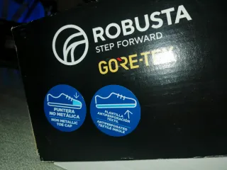 Botas Robusta Gore-Tex Puntera No Metálica