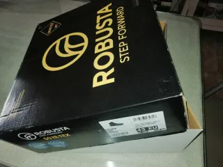 Botas Robusta Gore-Tex Puntera No Metálica